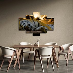 Obraz spiaceho tigra (150x105 cm)