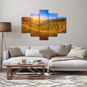 Obraz - Ryžové terasy vo Vietname (150x105 cm)