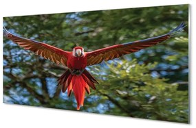 Sklenený obraz ara papagáj 140x70 cm