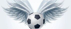 Obraz - Balón s krídlami (120x50 cm)