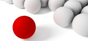 Obraz gulí (120x50 cm)
