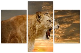 Obraz revúceho leva