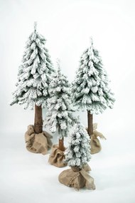 Vianočný stromček- Smrek zasnežený 150cm