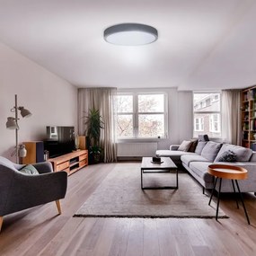 Solight WO8001 - LED Stmiev. svietidlo GREY LED/48W/230V 3000-6500K pr. 38 cm + DO