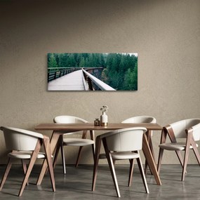 Obraz - Most k vrcholkom stromov (120x50 cm)