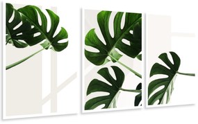 Gario Sada plagátov Krásna zeleň - 3 dielna Farba rámu: Bez rámu, Rozmery: 135 x 63 cm
