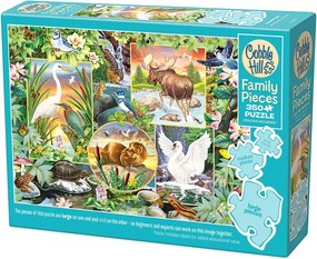 Rodinné puzzle Magická rieka 350 dielikov
