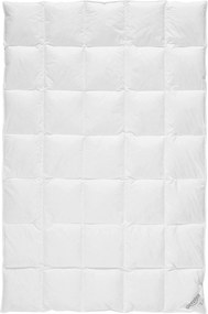 XXXLutz ZIMNÁ PRIKRÝVKA, 135/200 cm, kačacie páperie, kačacie perie Sleeptex - Prikrývky & vankúše - 005032004001