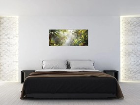 Obraz - Tropický dažďový prales (120x50 cm)