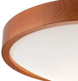 Stropné svietidlo MEDA 2xE27/60W/230V