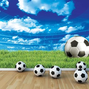 Fototapeta - Futbal na tráve (254x184 cm)