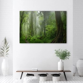 Obraz na plátně, Tropický les džungle - 60x40 cm