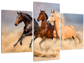Obraz - Divé kone (90x60 cm)