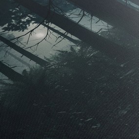 Obraz - Paprade v mesačnom svite (120x50 cm)
