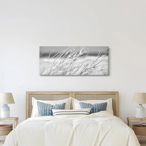 Obraz - Plážová tráva (120x50 cm)
