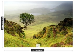 Fototapeta Vliesová Isle of skye škótsko 152x104 cm