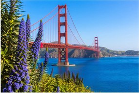 Obraz - Golden Gate Bridge, San Francisco (90x60 cm)