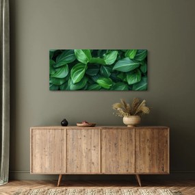 Obraz - Zelené listy (120x50 cm)