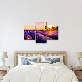 Obraz levanduľového poľa (90x60 cm)