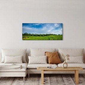 Obraz lúky (120x50 cm)