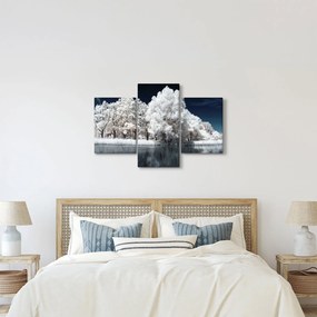 Obraz - Snehobiele stromy (90x60 cm)