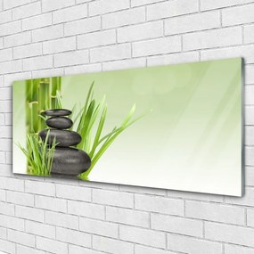 Obraz plexi Bambus tráva rastlina príroda 125x50 cm