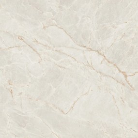 Dlažba Majestic Pearl Pulido 120x120 R