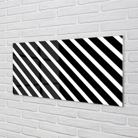 Nástenný panel  zebra pruhy 100x50 cm