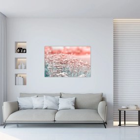 Obraz - Lúčne kvety (90x60 cm)