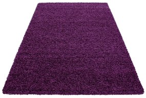 Tmavofialový koberec 80x150 cm Life – Ayyildiz Carpets