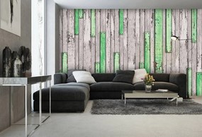 Fototapeta - Šedá a zelená potrhaná doska (254x184 cm)