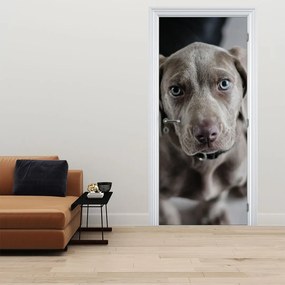 Fototapeta na dvere - Šteňa (95x205cm)