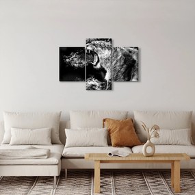 Obraz - Portrét levice (90x60 cm)