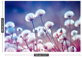 Fototapeta Vliesová Lúčne kvety 416x254 cm