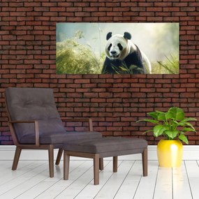 Obraz - Panda (120x50 cm)