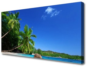 Obraz Canvas Palma stromy pláž krajina 120x60 cm