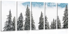5-dielny obraz zasnežené borovicové stromy - 200x100
