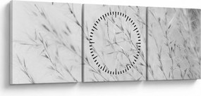 Obraz - Pampas grass N⁰2 (s hodinami) (90x30 cm)