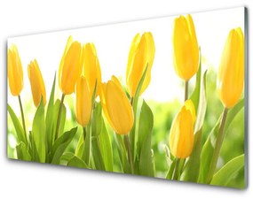 Skleneny obraz Tulipány kvety rastlina 140x70 cm