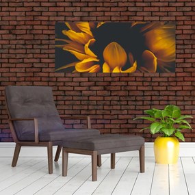 Obraz - Slnečnica v čiernom pozadí (120x50 cm)