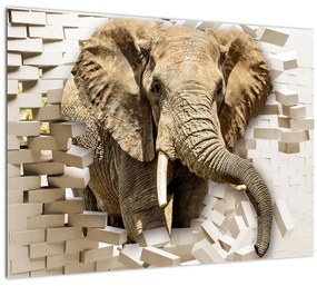Obraz - Slon prerážajúci múr (70x50 cm)