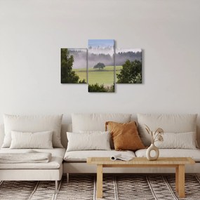 Obraz lúky so stromom (90x60 cm)