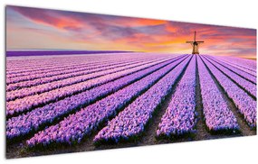 Obraz - kvetinová farma (120x50 cm)