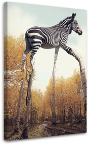 Gario Obraz na plátne Zebra a brezové nohy - Patryk Andrzejewski Rozmery: 40 x 60 cm