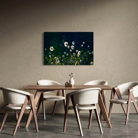 Obraz - Tráva (90x60 cm)