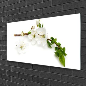 Obraz na skle Kvet vetva príroda 100x50 cm