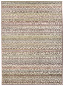 NORTHRUGS - Hanse Home koberce Kusový koberec Lotus Rose zlaté 103252 – na von aj na doma - 160x230 cm