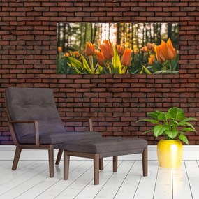 Obraz - oranžové tulipány (120x50 cm)