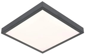 LED Stropné svietidlo VITALI LED/24W/230V