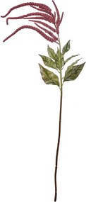 FLORISTA Proso 110 cm - červená